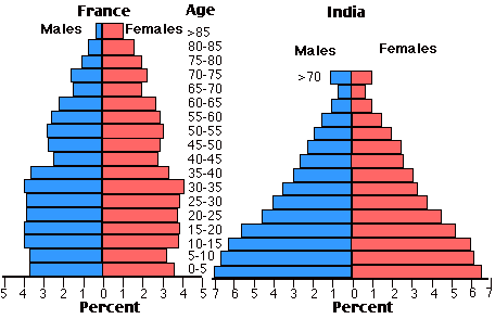 The charts below compare the age structure of the populations of France and India in 1984.

Write a report for a university, lecturer describing the information shown below.

Summarise the information by selecting and reporting the main features and make comparisons where relevant.

You should write at least 150 words.