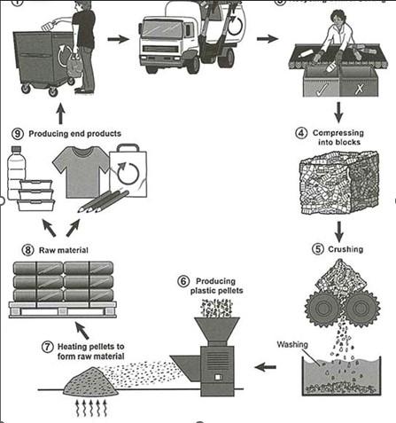 The diagram below shows the process for recycling plastic bottles. Summarise the information by selecting and reporting the main features, and make comparisons where relevant.