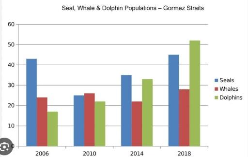 The bar chart below shows number of seals, whales, and dolphins recorded in the gormez straits from to 2006 to 2018