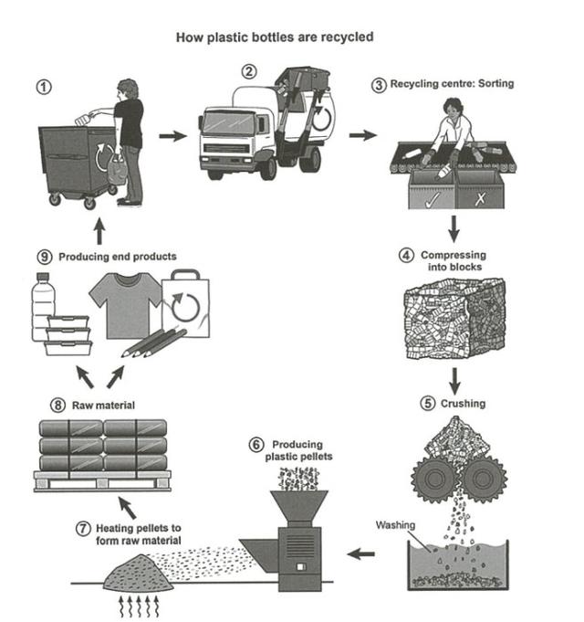 The diagram below shows the process for recycling plastic bottles. Summarize the information by selecting and reporting the main features, and make comparisons where relevant. (GPT)
