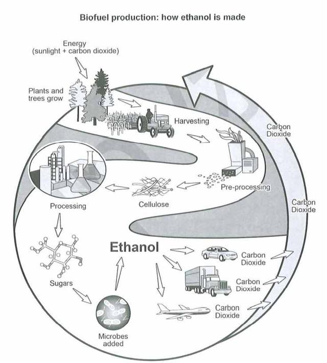 The diagram illustrates the biofuel production: how ethanol is made