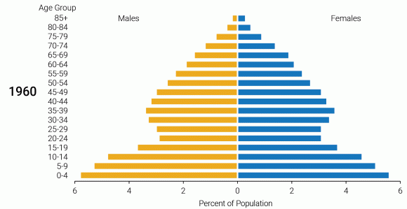 The chart shows the differences population based on age