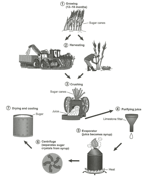 The diagram shows the manufacturing process for making sugar from sugar cane