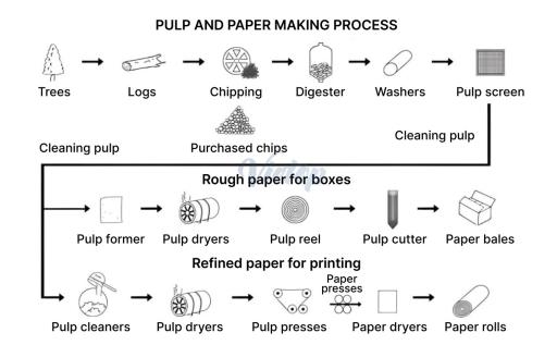 The diagram gives information about the process of making pulp and paper. Summarise the information by selecting and reporting the main features, and make comparisons where relevant.
