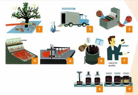 The diagram shows the process of producing cherry jam.