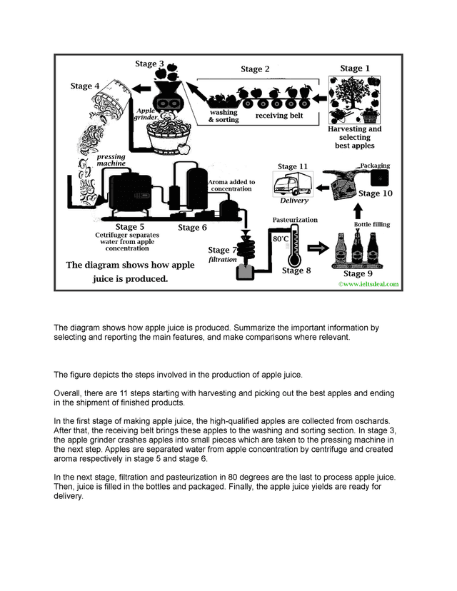 the diagram shows how concentrated apple juice is produced