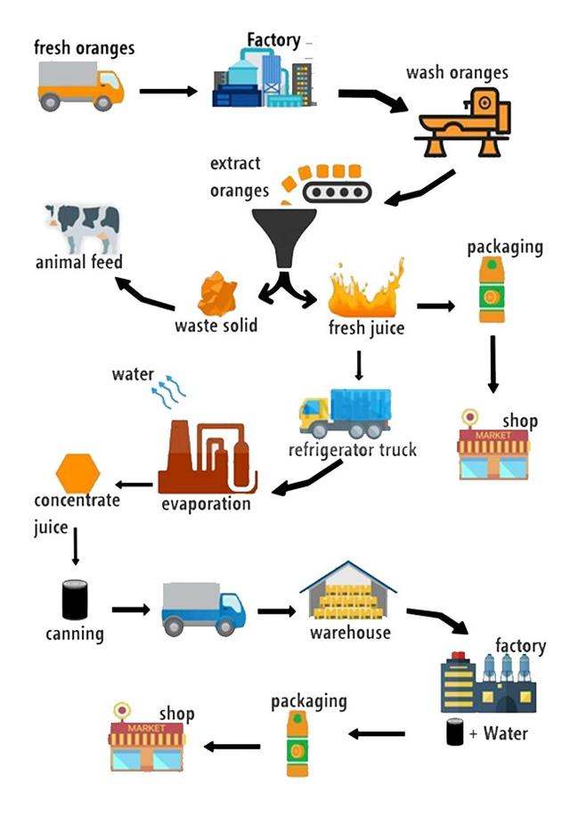 the diagram below shows how orange juice is produced. Summarize the information by selecting and reporting the main features, and make comparisons where relevant. Write at least 150 words.