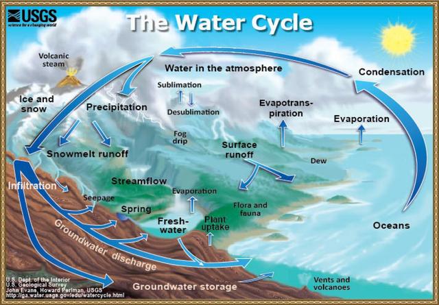 the diagram shows the water cycle