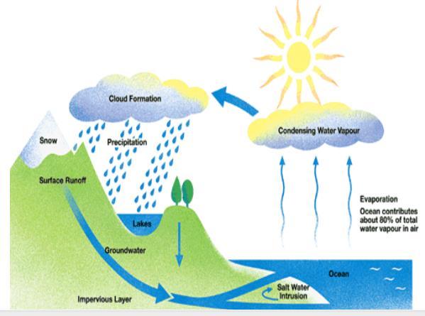 The diagram below shows the water cycle, which is the continuous movement of water on, above and below the surface of the Earth.