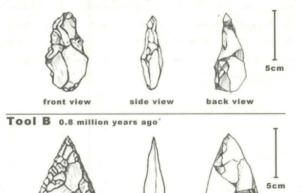 The diagram below shows the development of the cutting tool in the Stone Age. Summarise the information by selecting and reporting the main features and make comparisons where relevant.