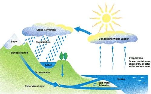 the diagram below shows how the water cycle works