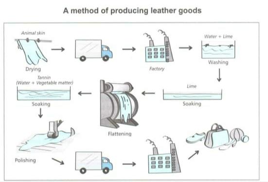 The diagram below shows how leather goods are produced. Summarize the information by selecting and reporting the main features and making comparison where relevant.