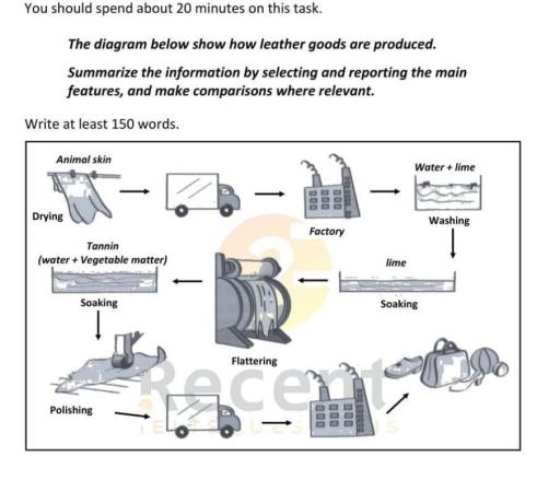 The diagram below shows how leather goods are produced. Summarize the information by selecting and reporting the main features, and make comparisons where relevant.