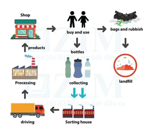 The diagram below shows the recycling process of plastics.

Summarise the information by selecting and reporting the main features, and make comparisons where relevant.