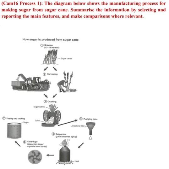 The diagram below shows the manufacturing process for making sugar from sugar cane.

Summarise the information by selecting and reporting the main features, and make comparisons where relevant.