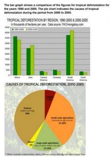 The bar graph shows a comparison of the figures for tropical deforestation for the year 1990 and 2000. The pie chart indicates the causes of tropical deforestation during the period from 2000 to 2005.