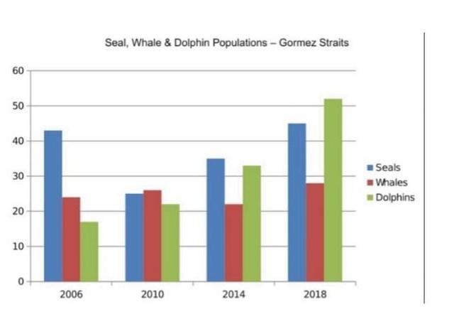 the bar chart show numbers of whales , seals and dolphins recorded in the gormez straits in both 2006 and 2018.