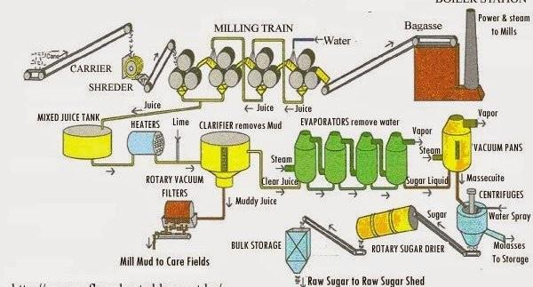 This graph depicts the sugar manufacturing procedure from sugar cane. It is clear from the diagram