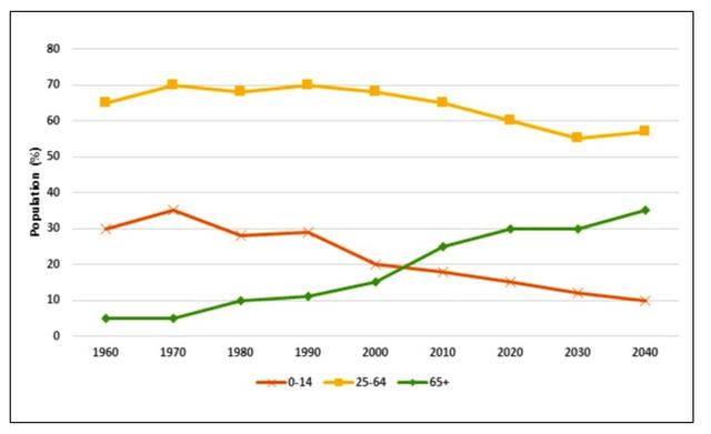 The chart below shows the Japan’s population by age groups starting in 1960 and including a forecast to 2040.