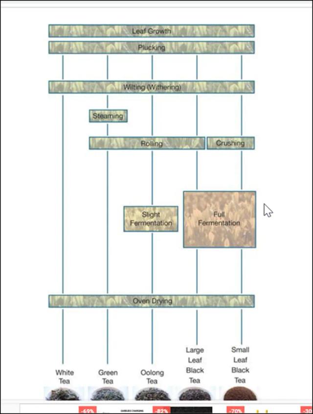 The diagram shows how tea leaves are processed into five tea types