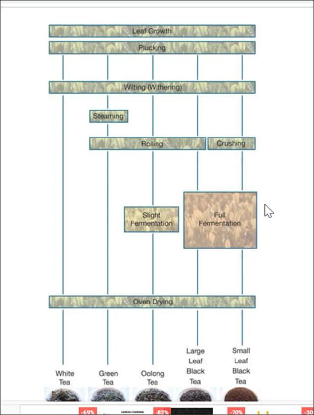 The diagram shows how tea leaves are processed into five tea types.

Summarise the information by selecting and reporting the main features and make comparisons where relevant.