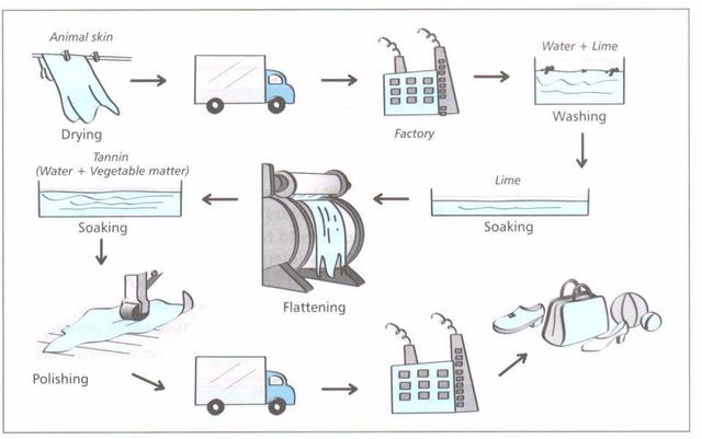 The diagram details the process of making leather products. Summarise the information by selecting and reporting the main features and make comparisons where relevant.