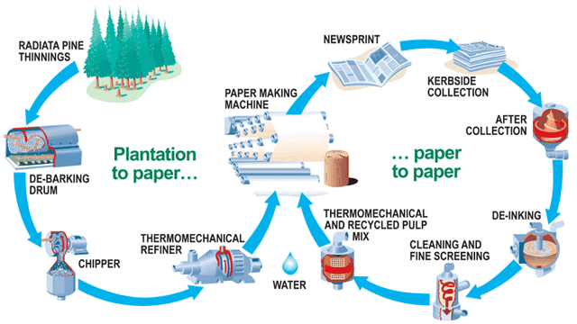 The diagram below illustrate how recycled paper is made.

https://writing9.com/_next/image?url=https%3A%2F%2Fimages.writing9.com%2Faa536b58ca847740619d63ad011b36c2.png&w=640&q=75