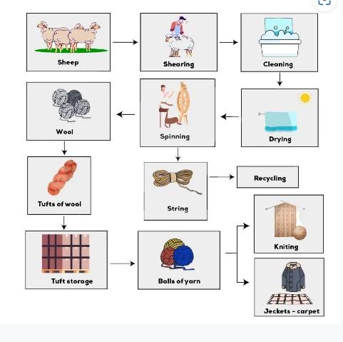 The diagram details the process of making wool. Summarise the information by selecting and reporting the main features, and make comparisons where relevant.