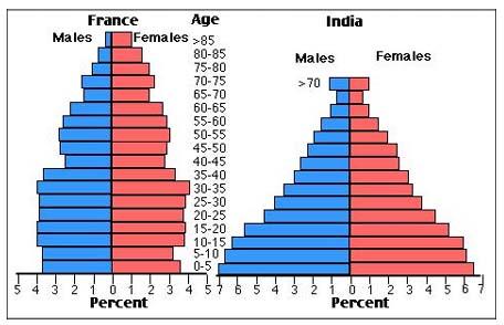The charts below compare the age structure of the populations of France and India in 1984.