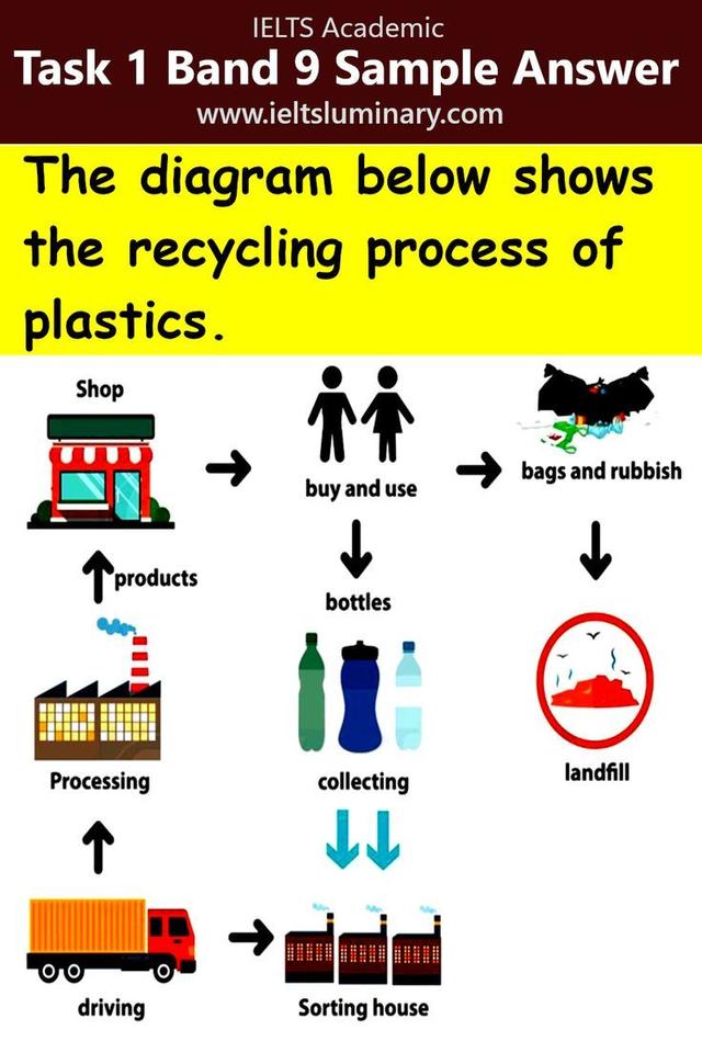The diagram below shows the recycling process of plastics.The diagram below shows the recycling process of plastics.