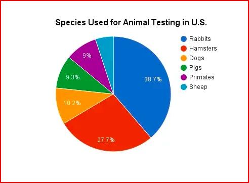 The chart below gives information about species used for animal testing in the U.S.

Summarise the information by selecting and reporting the main features, and make comparisons where relevant.