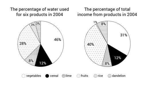 The first pie chart shows the percentage of  water used for six products in 2004. The second chart illustrates the percentage of total income from products in 2004