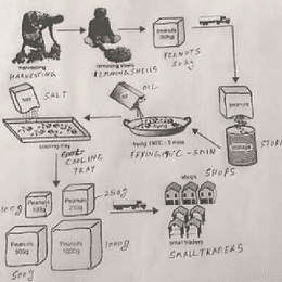 The diagram below shows how one particular company produces deep-fried salted peanuts. Summarise the information by selecting and reporting the main features, and make comparisons where relevant.