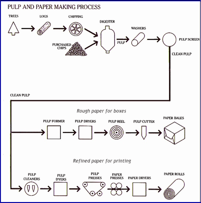 59.The diagram presents how pulp and paper are made. Summarize the information by selecting and reporting the main features, and make comparisons where relevant