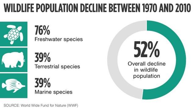 Recently published figures show that the wildlife population around the world has decreased by around fifty per cent over the last fifty years. What can we do to help protect the wildlife round the world? Give reasons for your answer and include any relevant examples from your knowledge or experience.