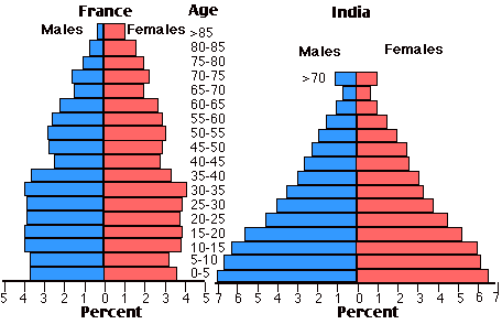 You should spend about 20 minutes on this task. The charts below compare the age structure of the populations of France and India in 1984. Write a report for a university, lecturer describing the information shown below. Summarise the information by selecting and reporting the main features and make comparisons where relevant. You should write at least 150 word