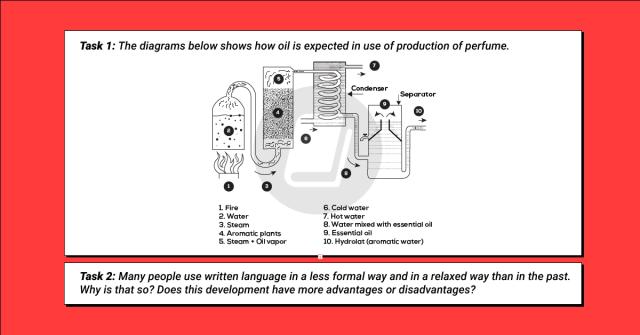 The diagrams below shows how oil is expected in use of production of perfume. 

Summarize the information by selecting and reporting the main features and make comparisons where relevant.