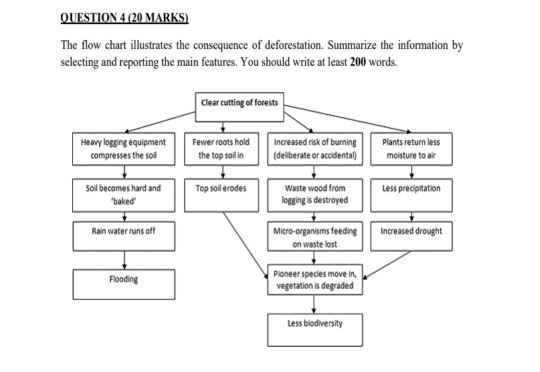 The flow chart depicts the problems associated with cutting down forests.