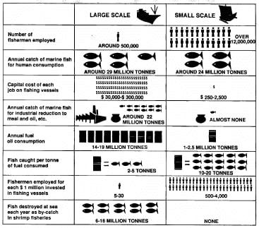 The table below compares data for the world’s large-scale and small-scale sea fishing industries. Provide an overview of the information by identifying and describing the key details, and include comparisons where appropriate.