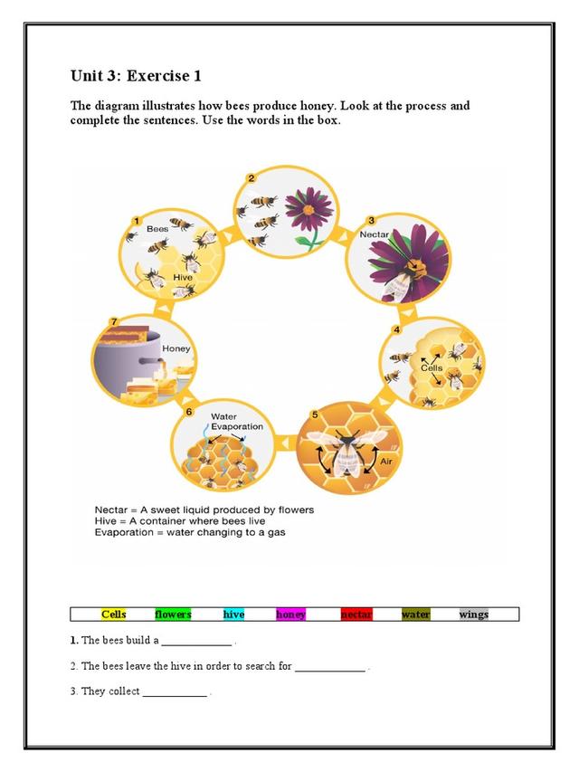 The diagram illustrates how bees produce honey