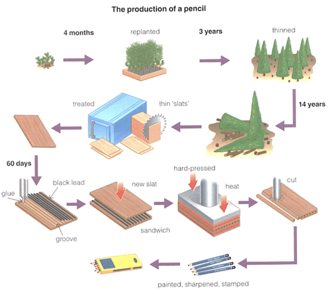 The diagram below shows the production of a lead pencil.

Summarise the information by selecting and reporting the main features, and make comparisons where relevant.