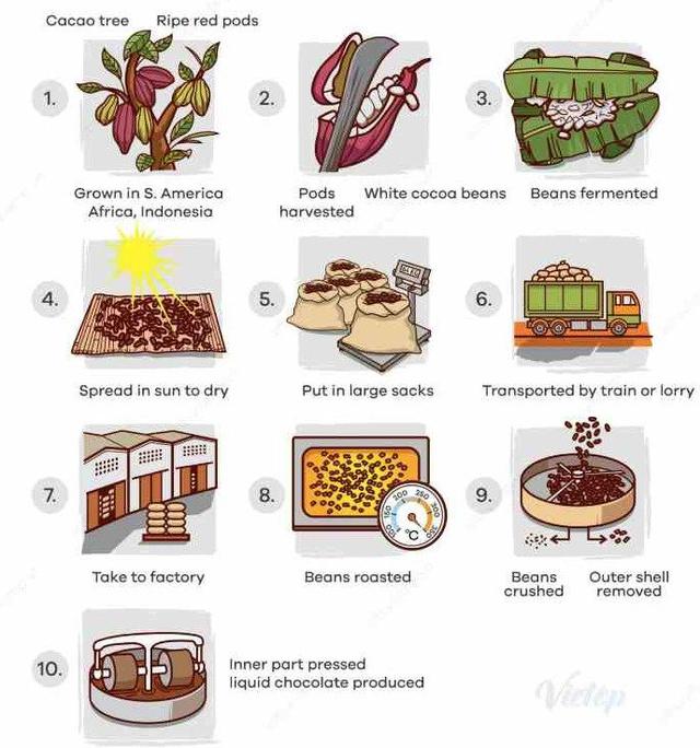 the graph show how liquid chocholate is made. describe it.