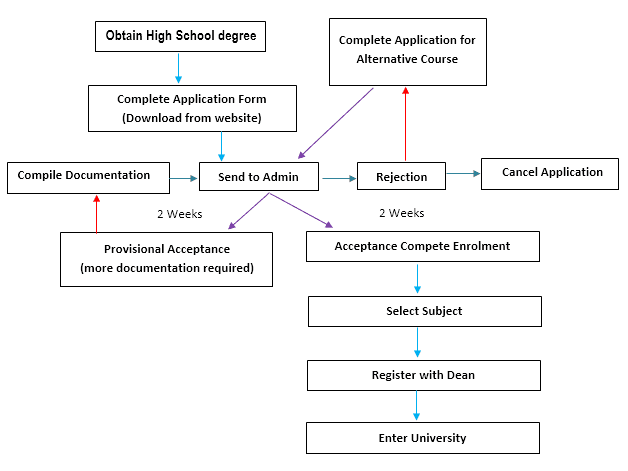 The diagram shows the procedure of university entry for high school graduates. Write a report for a university or college lecture describing the information.
