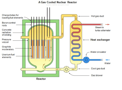 The diagram below shows the production of steam using a gas-cooled nuclear reactor. Summarise the information by selecting and reporting the main features, and make comparisons where relevant.