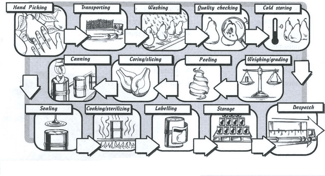 The diagram describes the production of canned fruits. Summarize the information by selecting and reporting the main features, and make comparisons where relevant. Write at least 150 words.