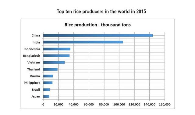 The bar chart below provides information about the top ten rice producing countries in the world in 2015. Summarise the information by selecting and reporting the main features and making comparisons where relevant.