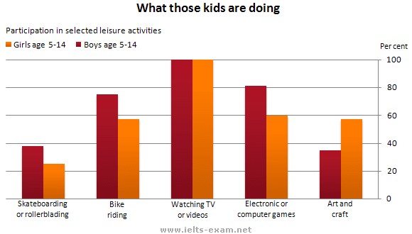 The chart below shows participation in certain leisure activities by children in Australia.

Write a report for university lecturer describing the information shown below.