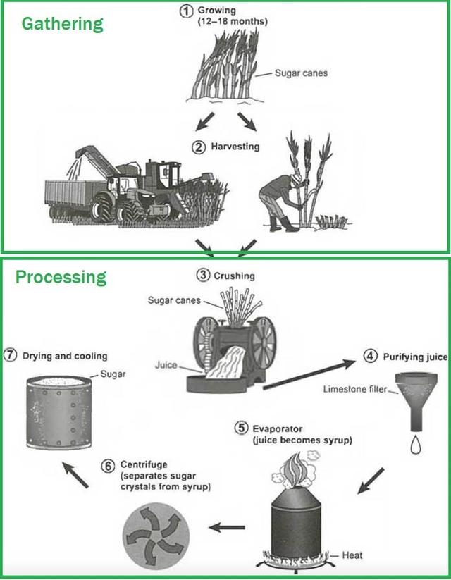 The diagram below shows the manufacturing process for making process for making sugar from sugar cane