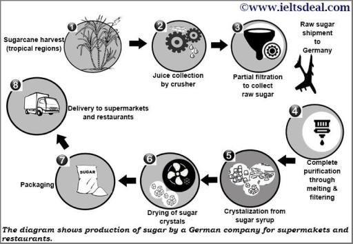 The diagram shows production of sugar by a German company for supermarkets and restaurants.Korkem