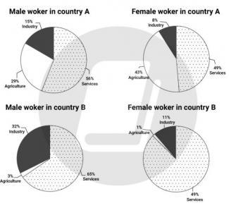 The charts below show the percentage of male and female workers in country A and country B. Summarize the information by selecting and reporting the main features and make comparisons where relevant.